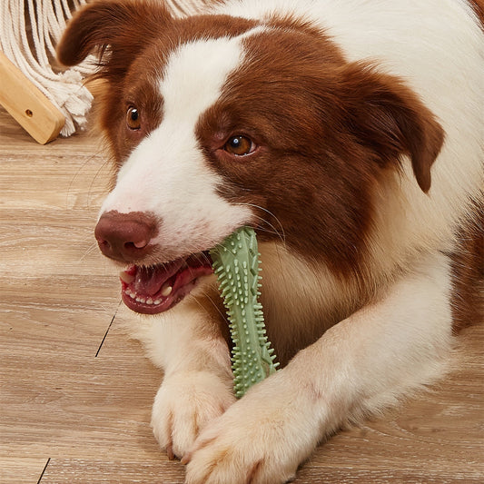 Dog Chew Toys for Teeth Cleaning – Promote Oral Health and Prevent Plaque Build-Up.