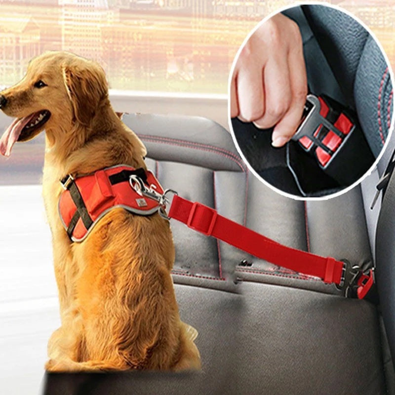 Adjustable Pet Seat Belt Harness – Car Safety Lead for Cats and Dogs, Vehicle Dog Harness with Clip for Secure Travel.