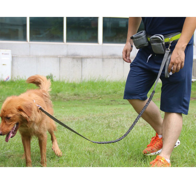 Adjustable Hands-Free Dog Leash – Comfortable and Convenient Leash for Walks, Runs, and Outdoor Adventures.