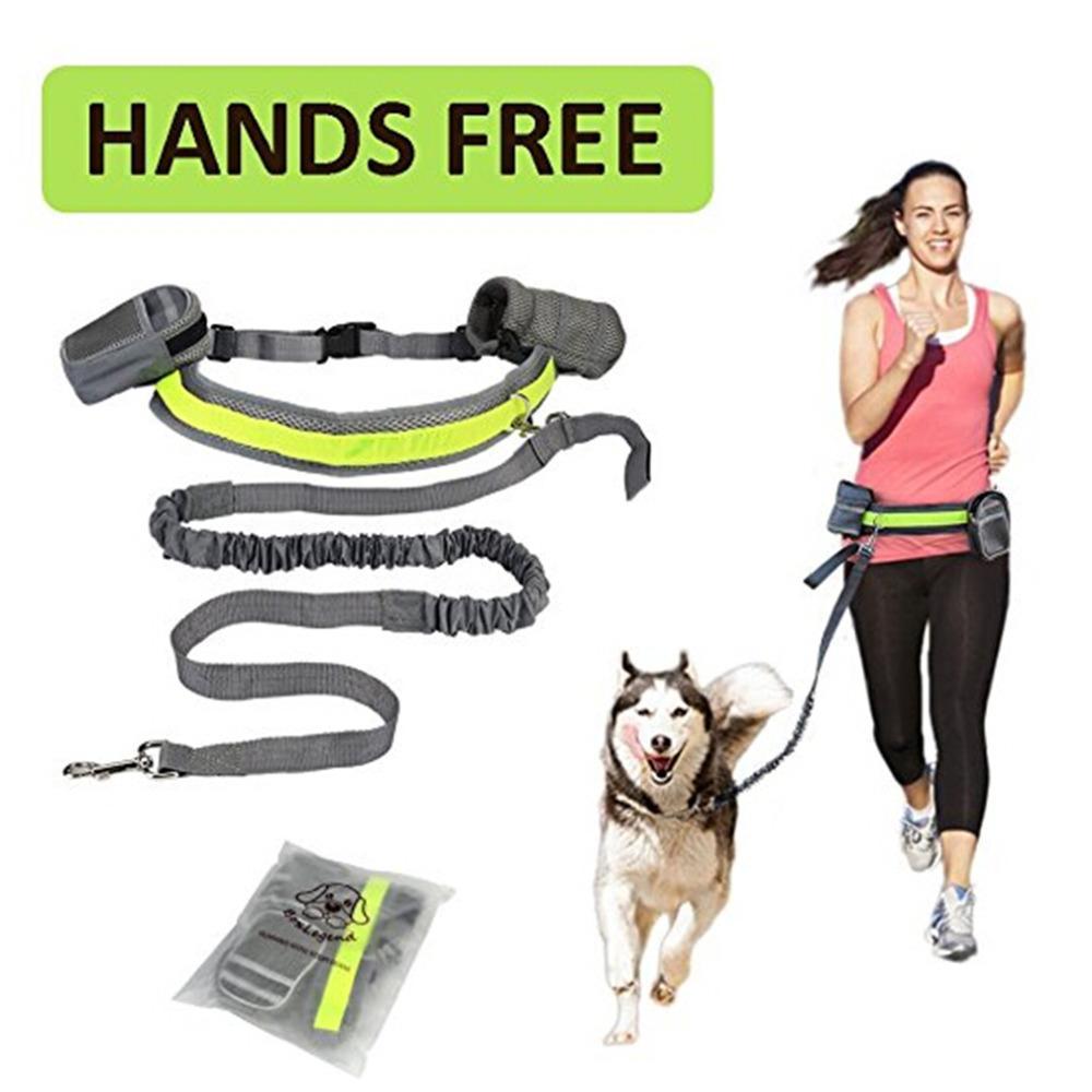 Adjustable Hands-Free Dog Leash – Comfortable and Convenient Leash for Walks, Runs, and Outdoor Adventures.