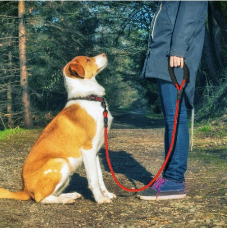 Reflective Nylon Dog Leash – Durable Walking and Training Rope for Small, Medium, and Large Dogs.