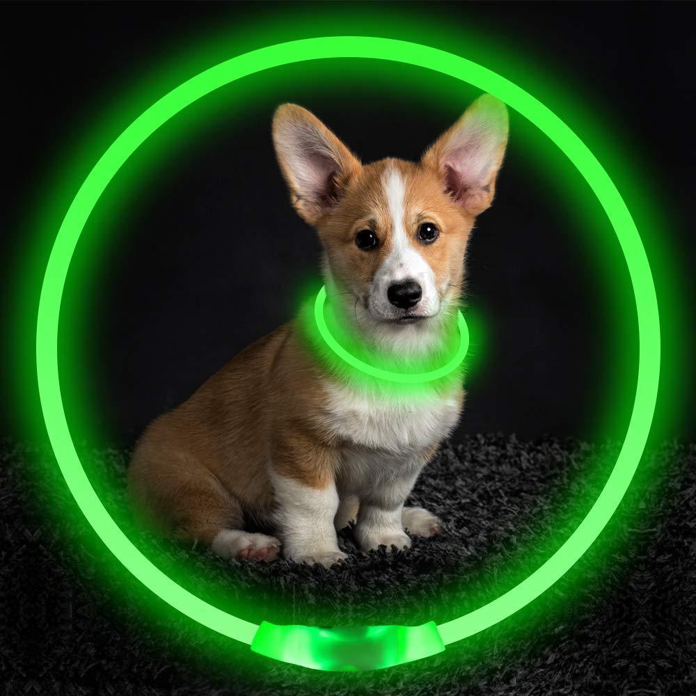 USB Rechargeable Pet Flashing Collar – Glowing Safety Necklace for Nighttime Walks, Electric Light-Up Dog Collar in Neon Colors.