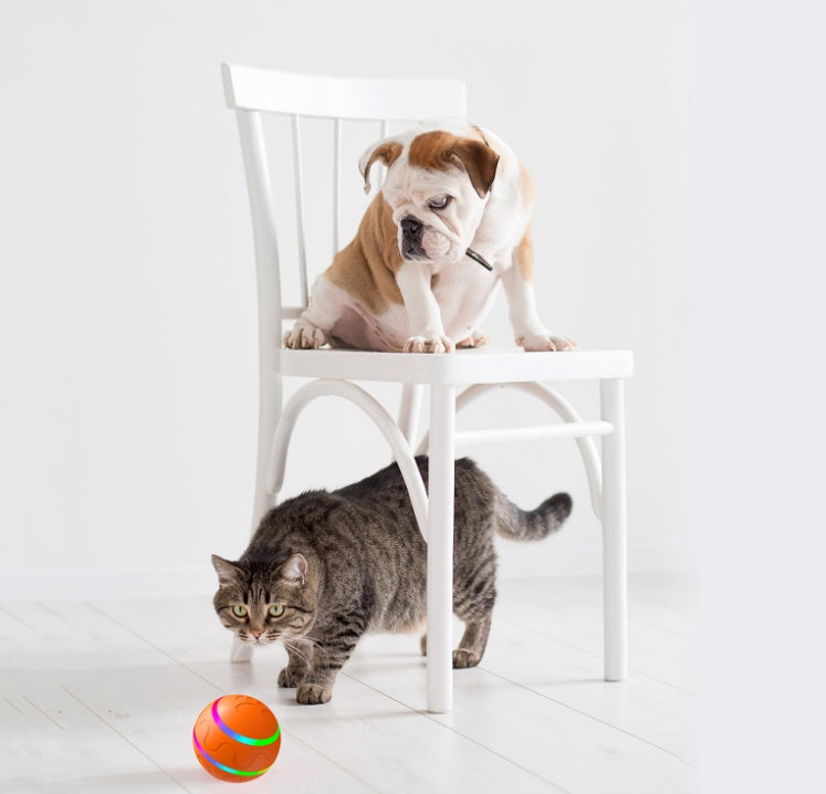 New Cat Wicked Ball Toy – Intelligent Self-Rotating USB-Powered Ball for Interactive Play and Entertainment.