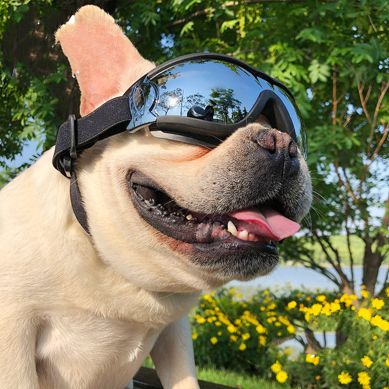 Pet Sunglasses and Dog Windproof Glasses – Stylish Goggles for Ultimate Protection and Comfort.