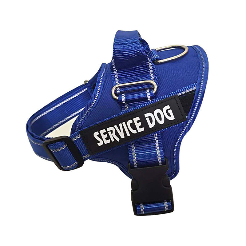 Personalization Of Pet Chest Strap Products